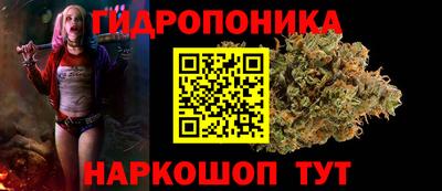 кокс Будённовск