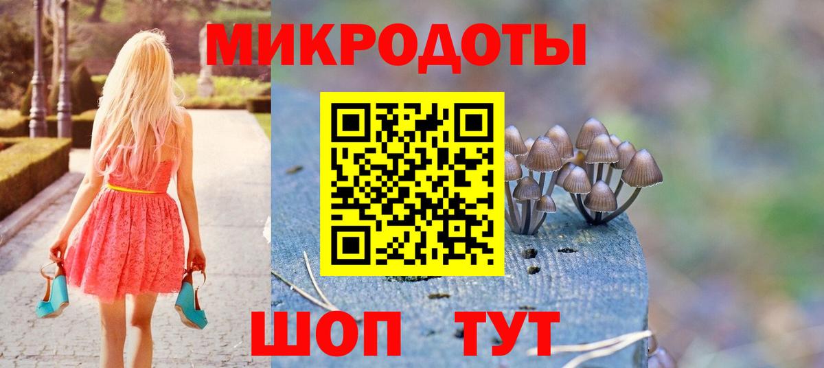 Невинномысск  Галлюциногенные грибы Psilocybe  Вход с VPN  Галлюциногенные грибы Psilocybe 